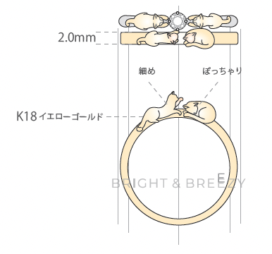 本多様_専用オーダーシート
