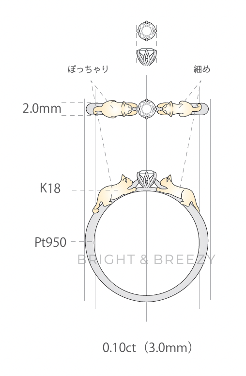 本多様_専用オーダーシート