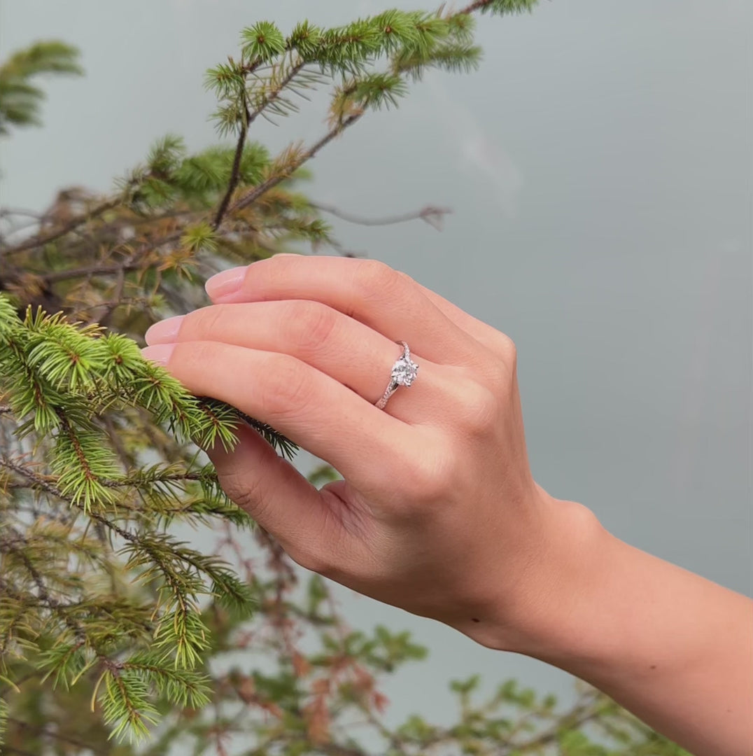 セレーノ ブリリアントカット 動画