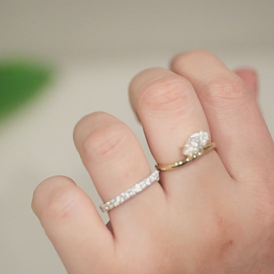 カノーロ：マーキスカット 動画